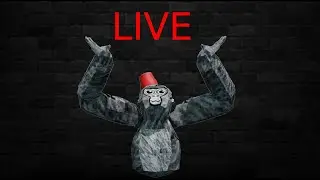 Gorilla Tag Stream!!! (2026 Stream)