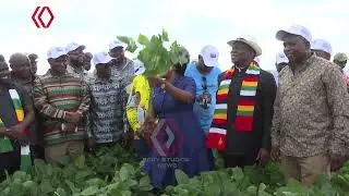 A Tour of President Mnangagwa's Precabe Farm