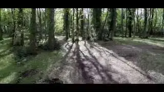 Bosco Quarto - Monte Sant'Angelo