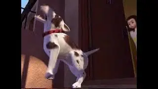 FragKillinAgent (3k subs)
