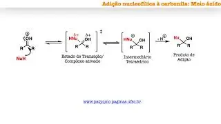 Aldeídos, Cetonas e Derivados (Vídeo 1: Mecanismo de adição nucleofílica à carbonila)