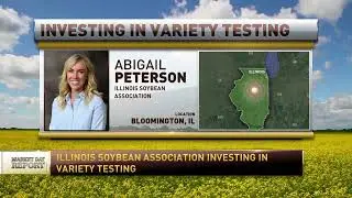 Soybean Variety Testing with ISA Director of Agronomy