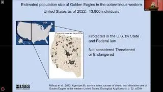 J.F. Shaffer. Golden Eagles in the United States of America