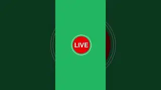 Live Green Screen Animation | Live Stream
