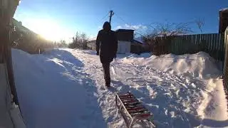Why turkeys fight in winter