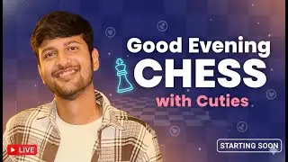 Good Evening CHESS with Cuties :)