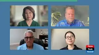 What is the Maui Business Bridge Grant (Restaurants of Hawaii)