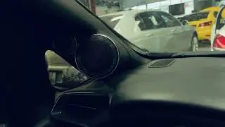 Brax system vocal test