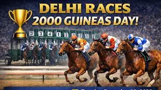 DELHI RACES TODAY | 23 DECEMBER 2025 | ALL 6 RACES WIN PLACE TIPS | HANDICAP HUB INDIA