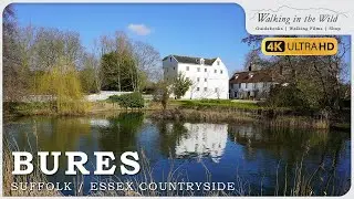 Suffolk Walks: Bures