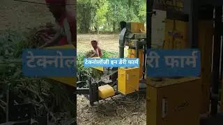 #dairytechnology #dairyfarming #dairyherd #agriculturalsystem