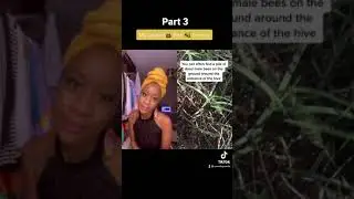 Honey Bee 🐝 Theory [part 3]: Male Drones are also Human men (my comments are yellow)