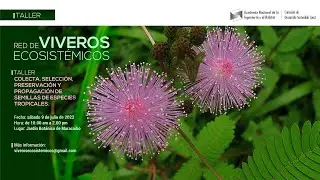 Taller de: Colecta, selección, preservación y propagación de semillas de especies tropicales.