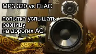 Есть ли разница между mp3 и FLAC ( Lossless ) ?