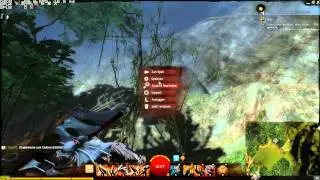 AMD Catalyst Omega VSR - Vergleich 1080p zu 3800x1800@1080p in Guild Wars 2