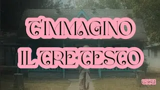T’IMMAGINO Il Tre TESTO