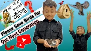 Vlog #05|| How to save birds || Apne Ghar Ke Paas Nanhi Chidiyo Ki Madad Kaise Kare |