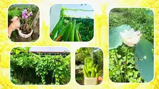 CẢM ƠN 2025 , C&Aacute;C BẠN Ở NNAS TẶNG TAMMIE. LOVE GOD AND GOD'S PEOPLE 