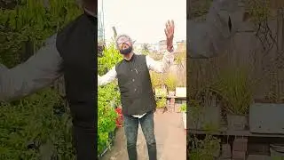 मेरा दिल ये पुकारे आजा ... 😍 || Rahman TNT Music || #sad #love #song #music #dance #shorts