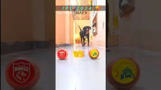 PBKS VS CSK MATCH PREDICTION | IPL 2024 | MATCH NO.53 |#ipl2024#predictions#short video#shorts#csk