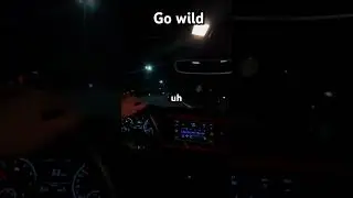 GO WILD #wild #motivation #automobile #inspiration #inspiration