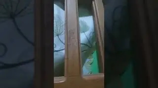 cneme