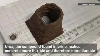 Martian Structures Could Someday Be Built From Literal Blood, Sweat and Tears
