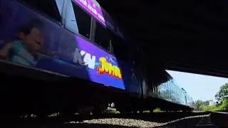 Hai, Ada Jumbo di Argo Semeru Gais!!!
