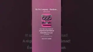 Mr Pet Company - Hardcore (maxi version)