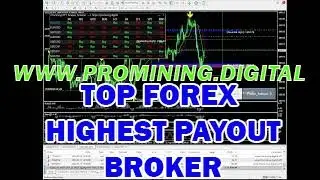 24/5 NON-STOP FULLY AUTOMATED TRADING PROMINING HOLY GRAIL ! VISIT US: WWW.PROMINING.DIGITAL