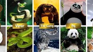 Kung Fu Panda Characters in Real Life! 🐼 You Won’t Believe They Actually Exist