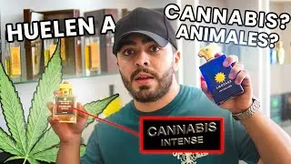 Perfumes con olor a CANN4BIS y ANIMALES??? | Una de las perfumerías MÁS EXCLUSIVAS de Costa Rica 🇨🇷