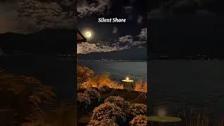 Silent Shore