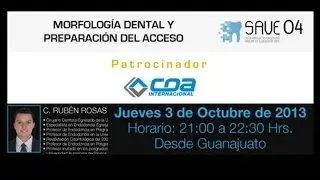 138 SAVE 04 de AME - Morfología Dental y Preparación del Acceso