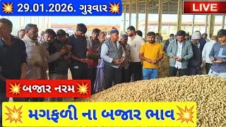 🔴live મગફળી ના બજાર ભાવ આજના જસદણ માર્કેટિંગ યાર્ડ, groundnut auction price today,January 29, 2026