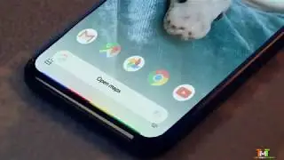 Jennelle Eliana, Pixel 4 and the new Google Assistant - Google Maps
