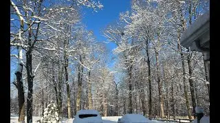 The first snow winter 2022