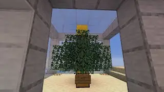 Minecraft - Sky Map - The Star On The Tree (424)