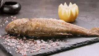Creative Food Video