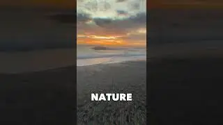 You Cannot Biohack Nature #nutrition #biohacking #livevitae #shorts #shortsvideo #nutritionist