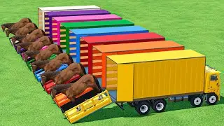 TRANSPORT OF COLORS ! GIANT HORSE LOADING ON TRUCKS | Farming Simulator 22