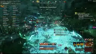 New world - Flail / spear tank!