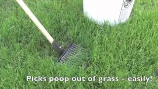 Pooper Scooper by Jibber Gear. The professional's favorite dog poop scoop - handcrafted in USA!