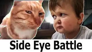 Mr. Fresh Cat VS Hasbullah Side Eye Battle