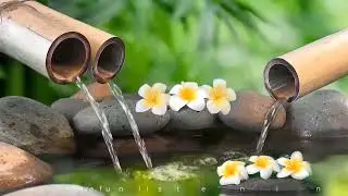 BAMBOO WATER FOUNTAIN  Relax & Get Your Zen On - White Noise