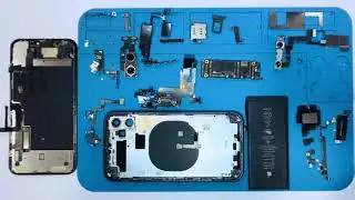 iPhone 11 Teardown