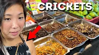 Trying tasty crickets in Chiang Mai's Chinatown