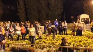 Тамбовская пчелка. На Песни над Цной.9.09.16
