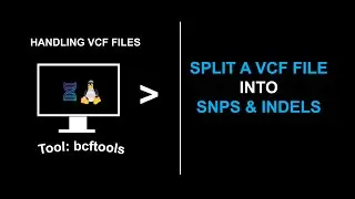 Split a VCF file into snps and indels using bcftools shortclip