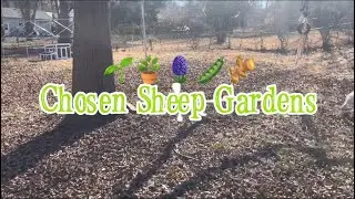 I Built a Massive DIY Chicken Pen for 20+ Chickens! 🐓 | Faith Farming & Funny Moments with Nita Twin